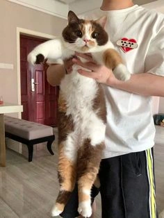 Hana being held by someone